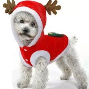 Puppy Santa Costume